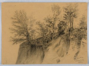 Cliff and Trees, Vicksburg, neiti.