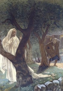 Kristus ilmestyi Pyhälle Pietarille - Kristus ilmestyi Pyhälle Pietarille - "" Herramme Jeesuksen Kristuksen elämästä"" - 1899, James Tissot - La vie de notre seigneur Jesus Christ, kirjoittanut Jacques Joseph (Jacques-Joseph) Tissot dit James Tissot (1836 tekijältä James Jacques Joseph Tissot