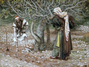 Karu viikunapuu, kuvitus teokseen The Life of Christ, n. 1886-1894 (wc ja guassi pahville) tekijältä James Jacques Joseph Tissot