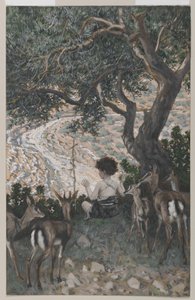 Pyhän Johannes Kastajan lapsuus, kuva Herramme Jeesuksen Kristuksen elämästä (wc grafiitin päällä paperilla) tekijältä James Jacques Joseph Tissot