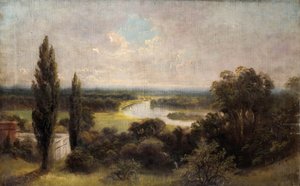 Näkymä alas kinkkupelloille Richmond Hillin huipulta