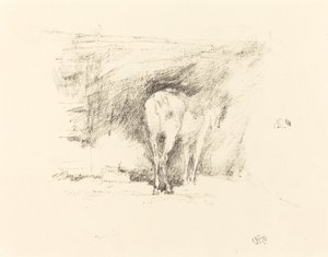 Hevosen tutkimusHevosen tutkimus tekijältä James Abbott McNeill Whistler