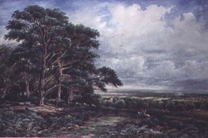 Bradgate Park lähellä Leicesteriä, akvarelli