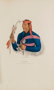 Miamin päällikkö, Aboriginaalien salkusta (The Aboriginal Portfolio) tekijältä James Otto Lewis