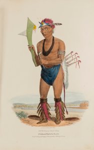 CUT-TAA-TAS-TIA; Kettuheimon kuuluisa päällikkö, Aboriginaalien salkku -teoksesta tekijältä James Otto Lewis