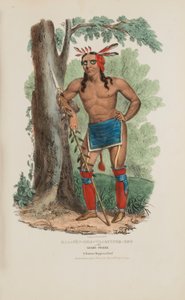 KAA-NUN-DER-WAAGUINSE-ZOO eli Marjanpoimija; Kuuluisa chippewa-päällikkö, Aboriginaalien portfoliosta. tekijältä James Otto Lewis