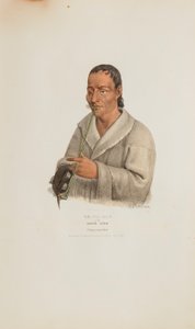 KE-WA-DIN eli Pohjoistuuli; Chippeway Chief, Aboriginaalien portfoliosta. tekijältä James Otto Lewis