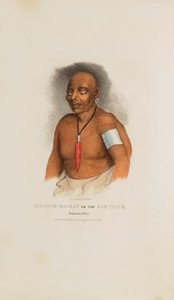 MA-CHE-KA-KAT eli Paha Haukka; Monomonien päällikkö, Aboriginaalien salkusta. tekijältä James Otto Lewis