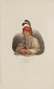 NA-SHE-MUNG-GA, Miamin päällikkö, Aboriginaalien portfoliosta. tekijältä James Otto Lewis