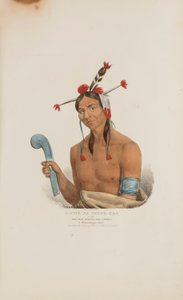 O-CHE-NA-SHINK-KAD tai mies, joka seisoo ja iskee; Winnebago Chief, Aboriginaalien portfoliosta. tekijältä James Otto Lewis