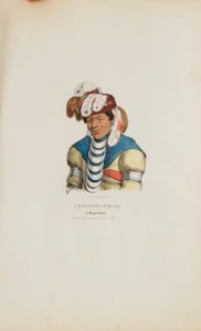 PEN-NOW-WE-TA; Miamin päällikkö, julkaisusta The Aboriginal Portfolio (Alkuperäiskansojen salkku). tekijältä James Otto Lewis