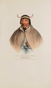 SUN-A-GET tai vaikeat ajat; Pottawatomie-päällikkö, julkaisusta The Aboriginal Portfolio. tekijältä James Otto Lewis