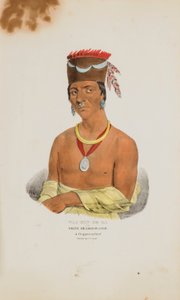 WAA-BIN-DE-BA eli valkopäinen kotka; Chippewayn päällikkö, julkaisusta The Aboriginal Portfolio. tekijältä James Otto Lewis