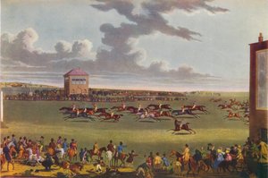 Newmarket Races, 1909. tekijältä James Pollard