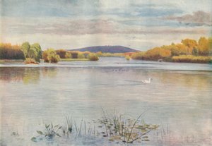 "Vacheryn lampi", 1911, 1914