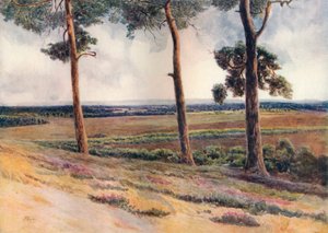 "Näkymä Staple Hilliltä", 1911, 1914 tekijältä James S Ogilvy
