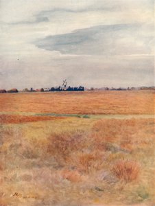 "Wimbledon Common", 1912, 1914