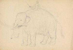 Elefante com Riderfinnish tekijältä James Sowerby