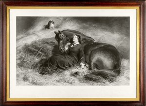 Taming the Shrew (tunnetaan myös nimellä "The Pretty Horsebreaker") (mezzotint) tekijältä James Stephenson