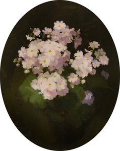 Primulas, 1900-luku (öljy kankaalle) tekijältä James Stuart Park
