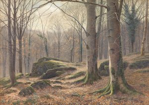 Talviaamu, huurteen sulaminen, 1885-1894