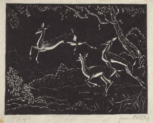 Lento (puupainatus) tekijältä James W. Reid