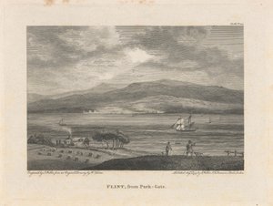 Flint, Park-Gatesta