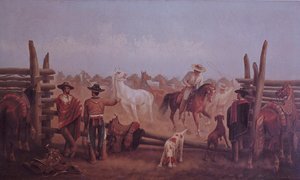 Tejano Ranchers