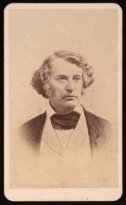 Charles Sumnerin muotokuva 1811-1874, Ennen vuotta 1874.