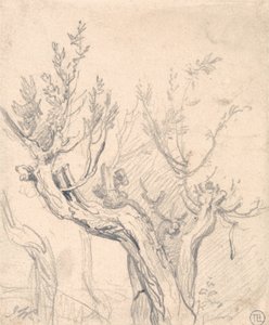 A Gnarled Tree tekijältä James Ward