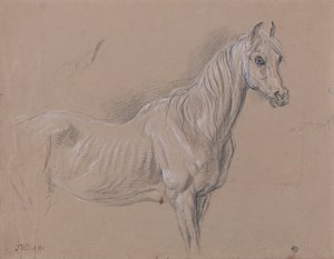 A Mare: L