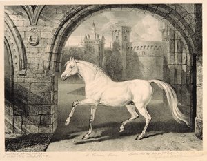 Persialainen hevonen, "Celebrated Horses" -sarjasta, taiteilijan julkaisemasta neljätoista kilpakuvasarjasta, 1823-24
