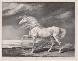 Neljätoista juhlittua hevosta: Adonis, 1824. tekijältä James Ward