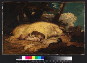 Siat, ei ennen vuotta 1793 tekijältä James Ward