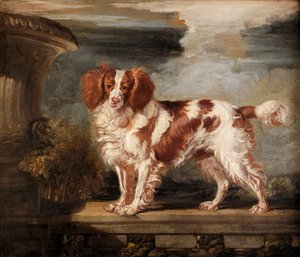 Portrait of Dash, suosikki spanieli, Lady Frances Vane-Tempestin omaisuus tekijältä James Ward