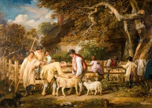 Sheep Salving, 1828. tekijältä James Ward