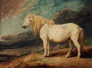 Shetlanninponi tekijältä James Ward