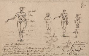 Anatomian, mittausten ja kirjoittamisen opinnot tekijältä James Ward