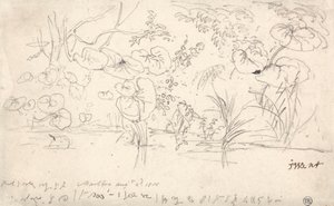 Studies of Plants, 2. elokuuta 1815 tekijältä James Ward