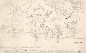Studies of Plants, elokuu 2, 1815 tekijältä James Ward