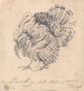 Turkin tutkimus tekijältä James Ward