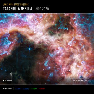 30 Doradoos (Beyond Compass Image) tekijältä James Webb Space Telescope (NASA)