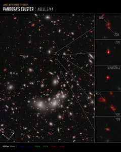 Galaxy Protocluster (NIRCam Compass Image) tekijältä James Webb Space Telescope (NASA)