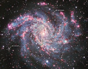 NGC 6946 (Kitt Peak National Observatory) tekijältä James Webb Space Telescope (NASA)