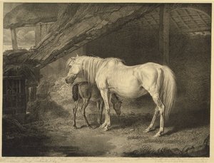 Primrose and Foal, Celebrated Horsesista, sarja neljätoista kilpajulistetta, jonka taiteilija julkaisi, 1823-24 tekijältä James after Ward