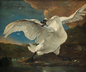 El cigne amenaçat El cigne amenaçat; Interpretat més tard com una al·legoria sobre Johan de Wittfinnish