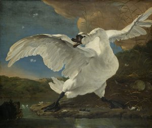 Uhana joutsen, noin 1650