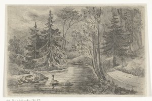 Metsäpolku lammen rannalla ankoilla tekijältä Jan Bos Wz.