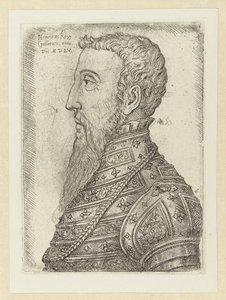 Portret van Hendrik II Henry King of the Galls (otsikko esineessä) tekijältä Jan Cornelisz Vermeyen