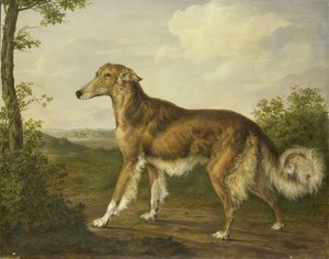 Siperianvinttikoira